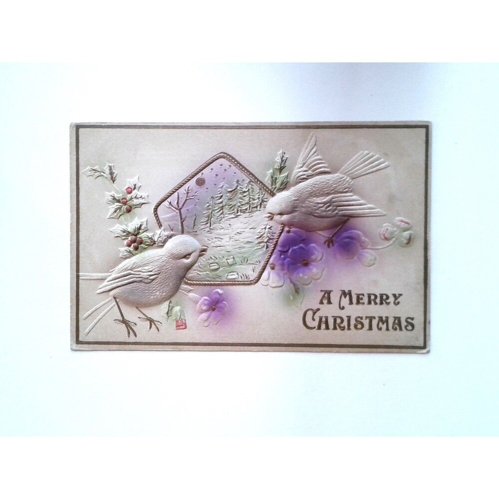 1911 Embossed Christmas Postcard Birds Holly Winter Scene Posted